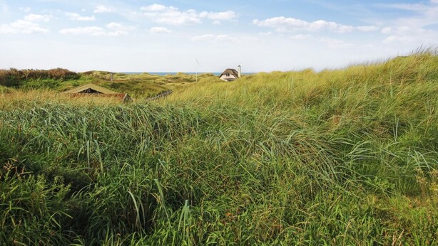 A house nestled among tall grass on a dune, with a clear sky above. - "Hoat" - 300m from the sea by Interhome (Saltum)
