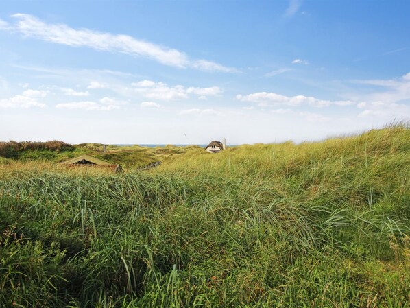 A house nestled among tall grass on a dune, with a clear sky above.