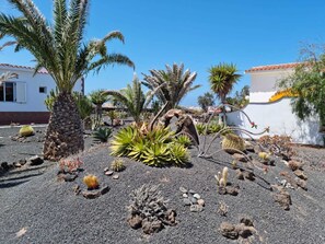 Property grounds - Spacious House with Garden and Outstanding Views in El Roque, El Cotillo (El Cotillo)