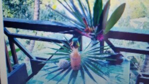 A room with a view of a tropical landscape, including palm trees and a beach. - Bungalow Bois Marie Galante Climatisé Avec vue mer Panoramique (Deshaies)