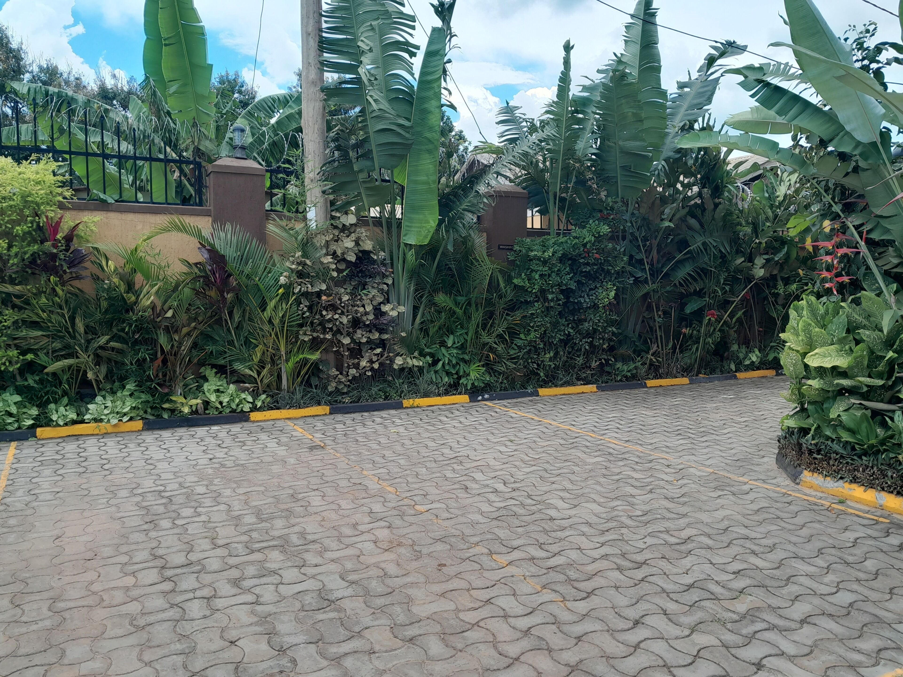 Estacionamiento gratis 