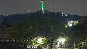 A nighttime view of a hill with a tower featuring red and white lights, surrounded by trees and street lamps. - A Family House (Seoul)