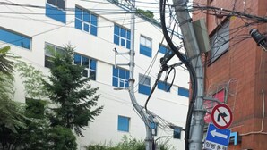 A street corner with a roundabout, traffic cones, a no-left-turn sign, and a building with blue windows. - A Family House (Seoul)