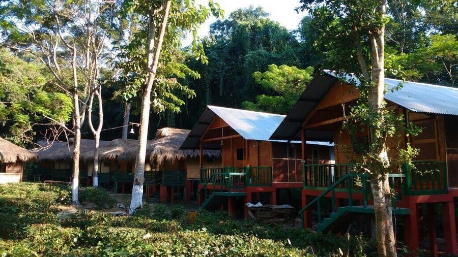 Nature Hunt Eco Camp