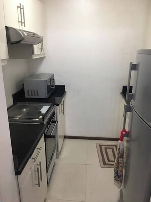 Fridge, oven, electric kettle - 2 Bdrm Condo in Cebu - Opposite Ayala (Cebu City)