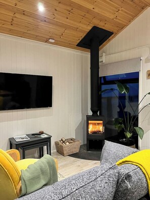 Smart TV, books