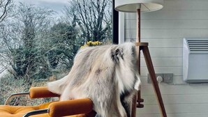 Ein modernes Interieur mit Blick auf Bäume und Himmel durch ein Fenster, ein Sessel, eine Lampe und eine Wanduhr.