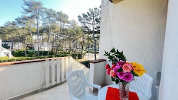 Apartment, 2 Bedrooms, Patio, Garden View | Balcony