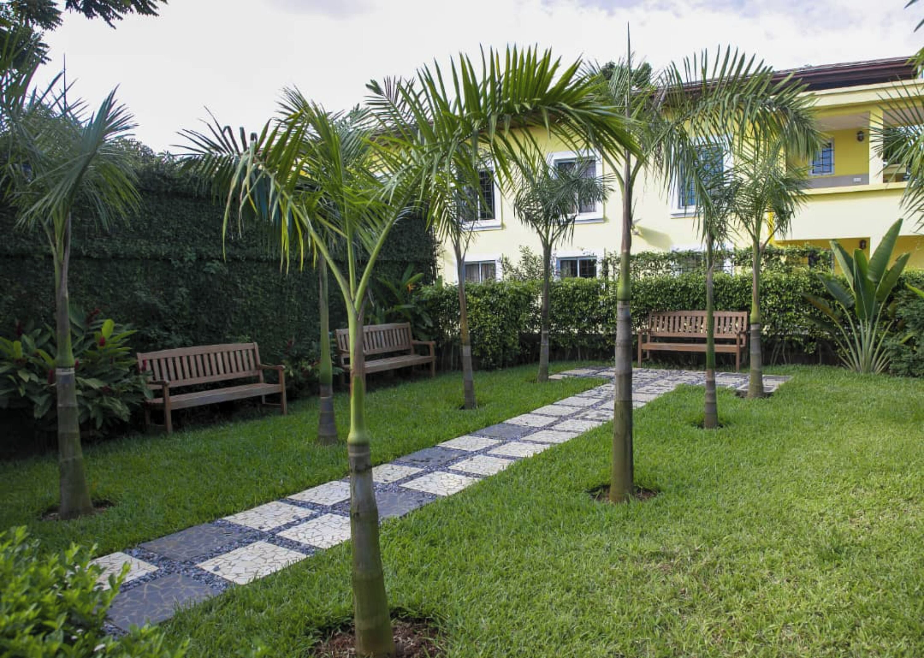 Un jardín cuidado con un camino pavimentado, bancos y palmeras.
