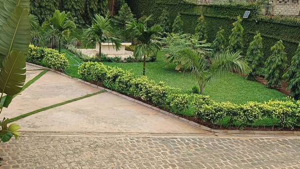 Un patio empedrado con un sendero de piedra, rodeado de abundante follaje y diversas plantas.
