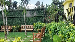 Un jardín con bancos y abundante vegetación.