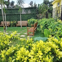 Apartamento Deluxe, 1 habitación | Vistas al jardín