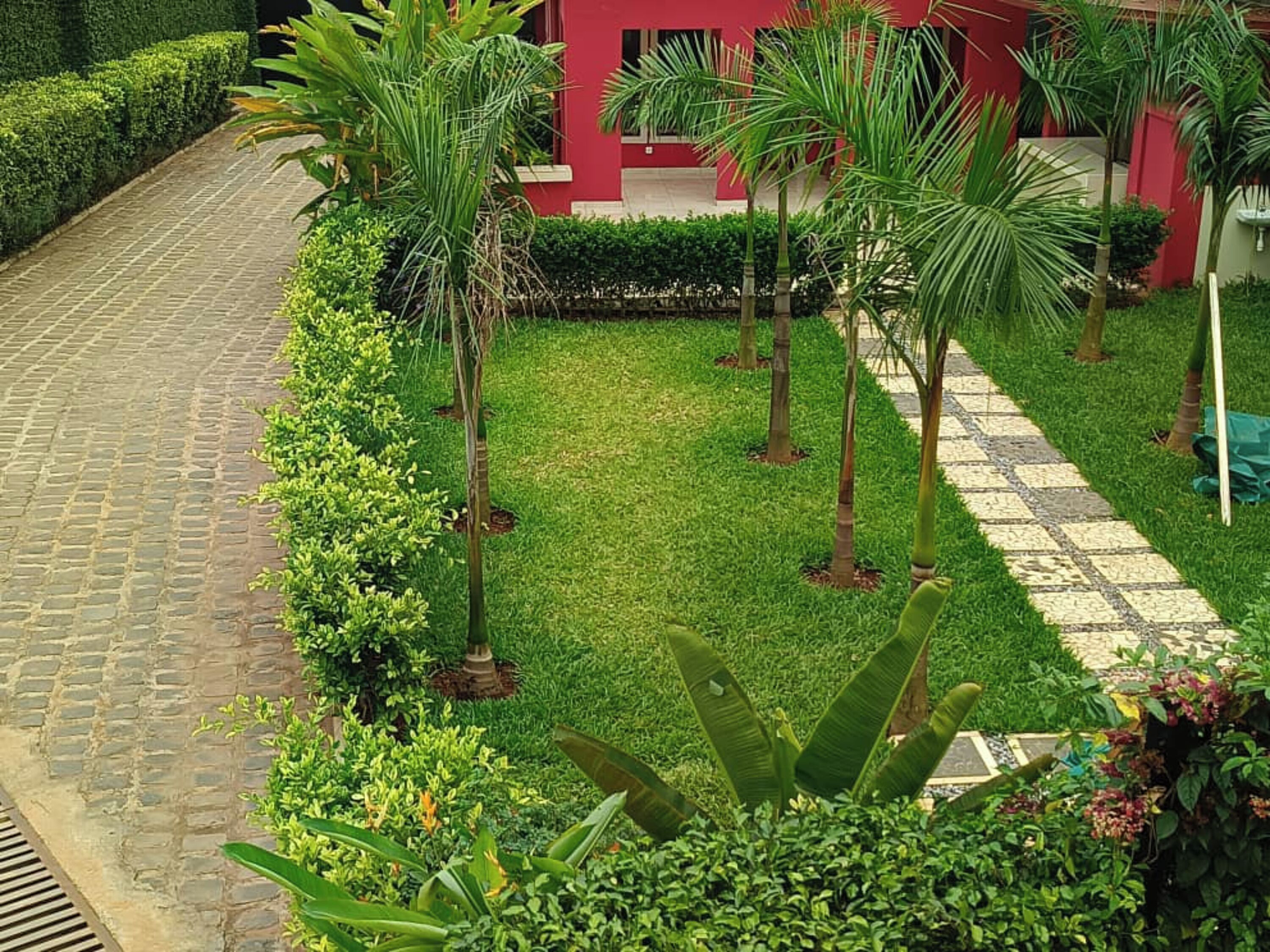 Um pátio com caminho pavimentado, grama verde e diversas plantas, incluindo palmeiras.