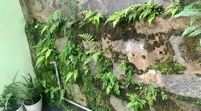 Dalat hidden gem in the hẻm