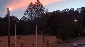 Room, 1 Bedroom, Patio, Mountain View | Property grounds