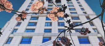 Tianjin Polar Ocean Hotel