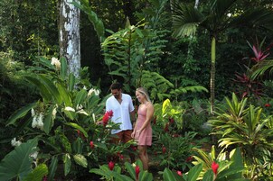 A lush garden with diverse plant life and a couple standing amidst the greenery.