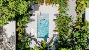 Une vue aérienne d’une piscine entourée d’une végétation luxuriante et bordée d’une terrasse carrelée.