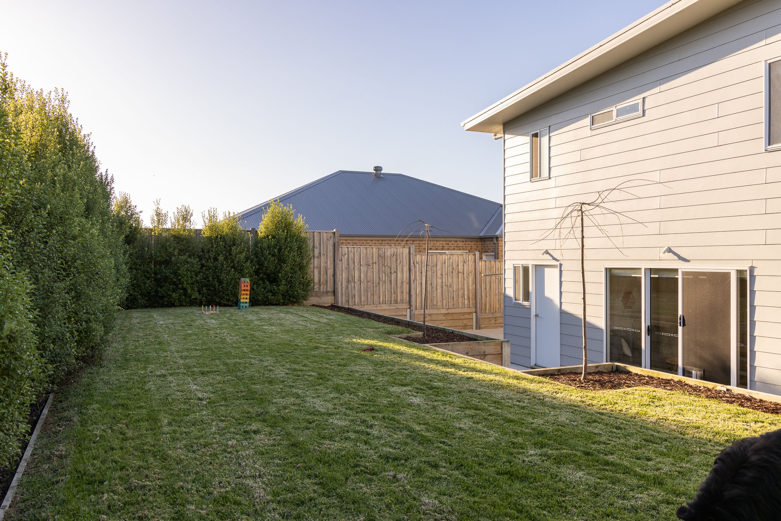 Backyard
