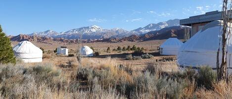Yurts in a dry grass field with mountains in the background.