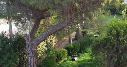 Villa Alma, Independent Apartment In Villa 700mt to The Sea