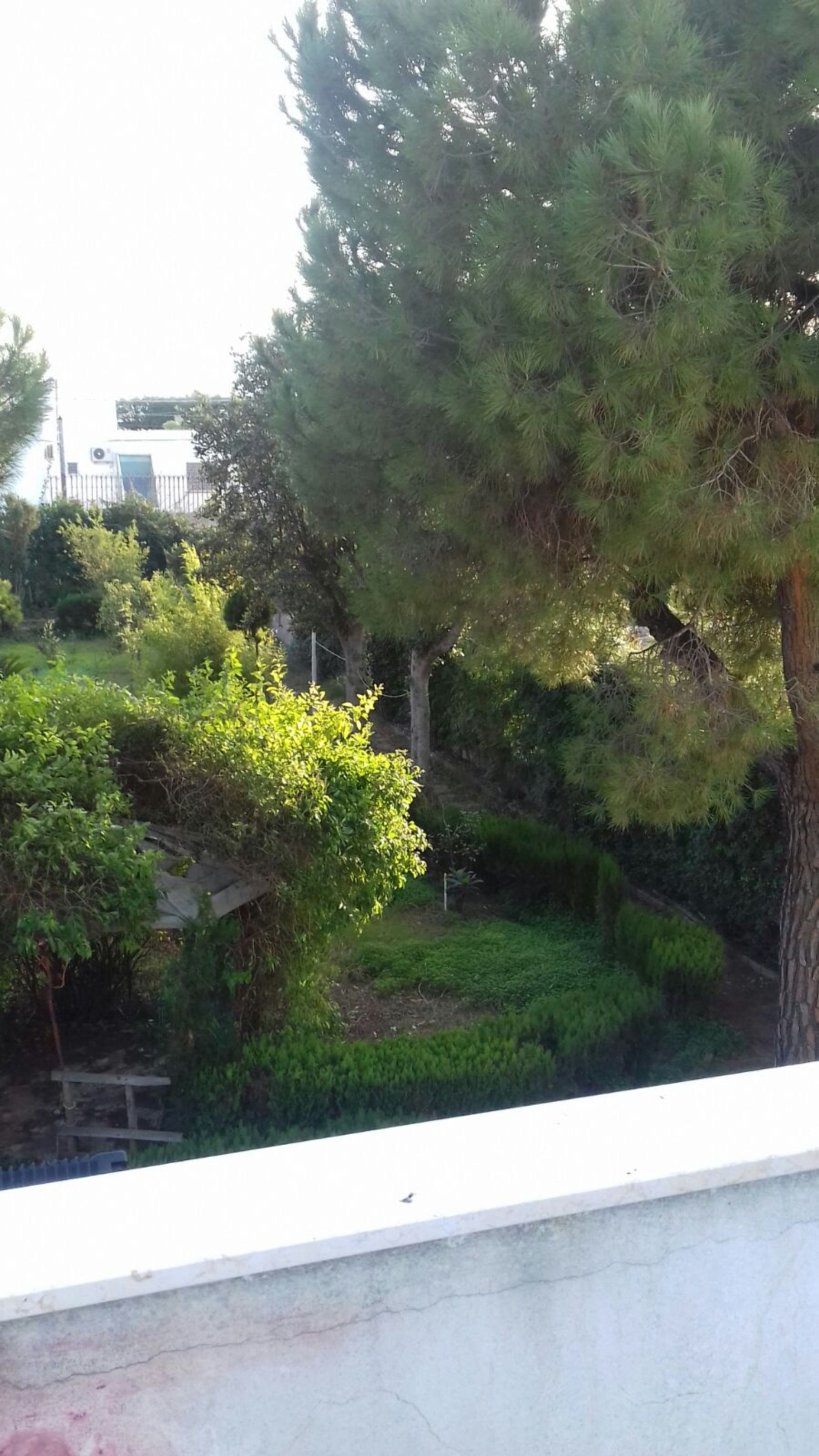 Foto - Villa Alma, Independent Apartment In Villa 700mt to The Sea