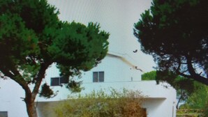 A white building with a large tree in front.
