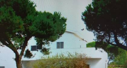 Villa Alma, Independent Apartment In Villa 700mt to The Sea