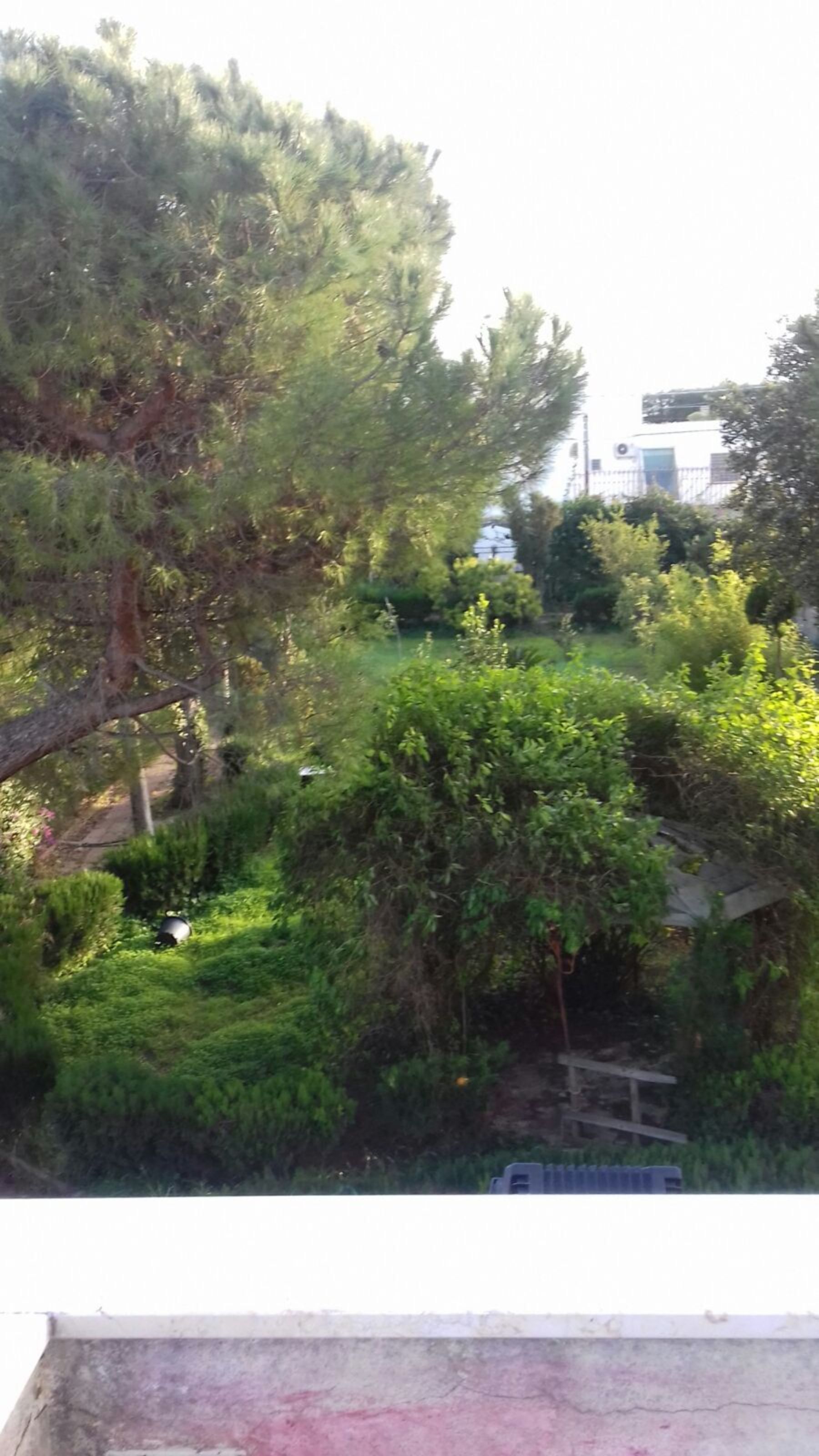 Foto - Villa Alma, Independent Apartment In Villa 700mt to The Sea