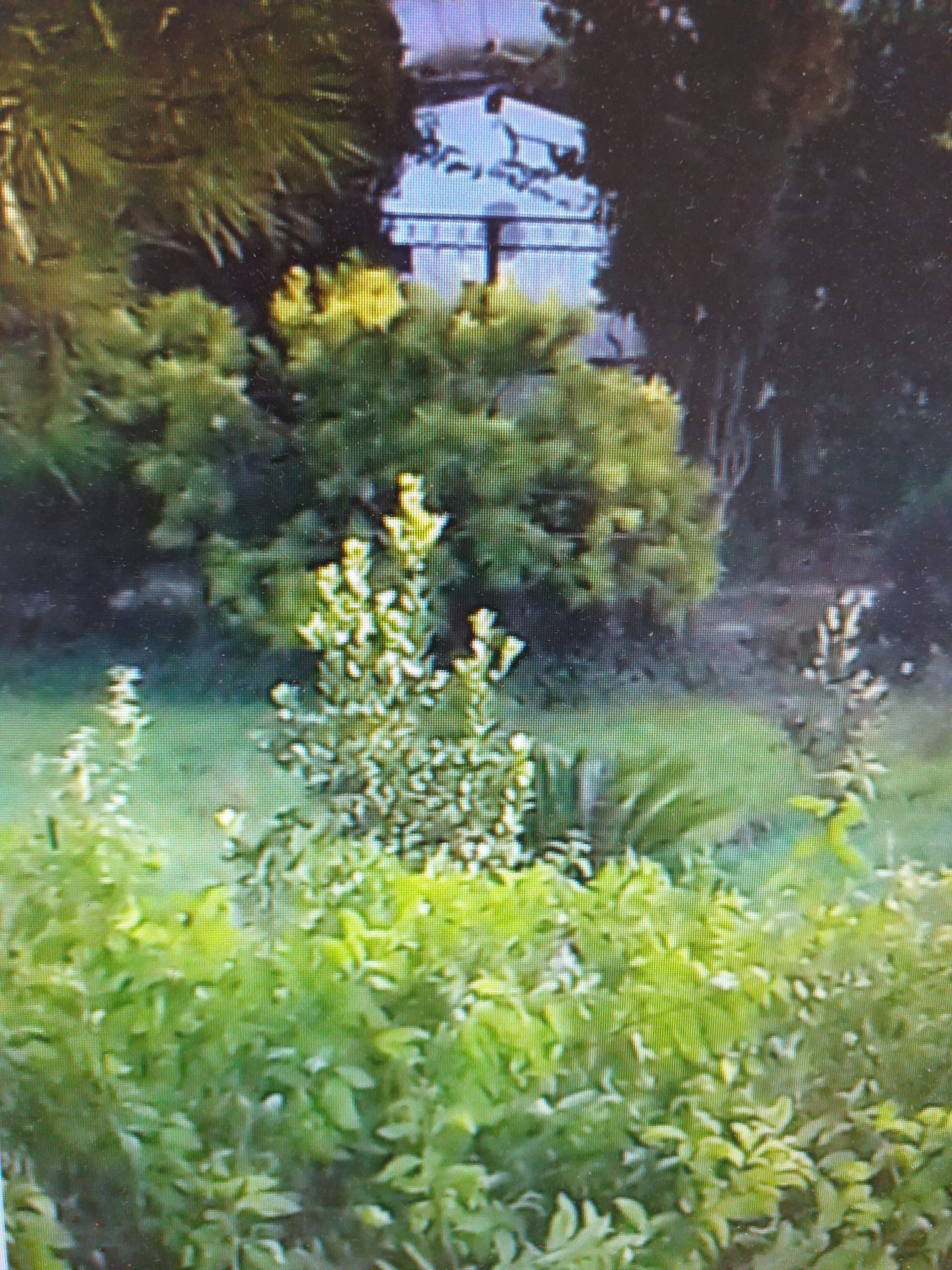 Foto - Villa Alma, Independent Apartment In Villa 700mt to The Sea