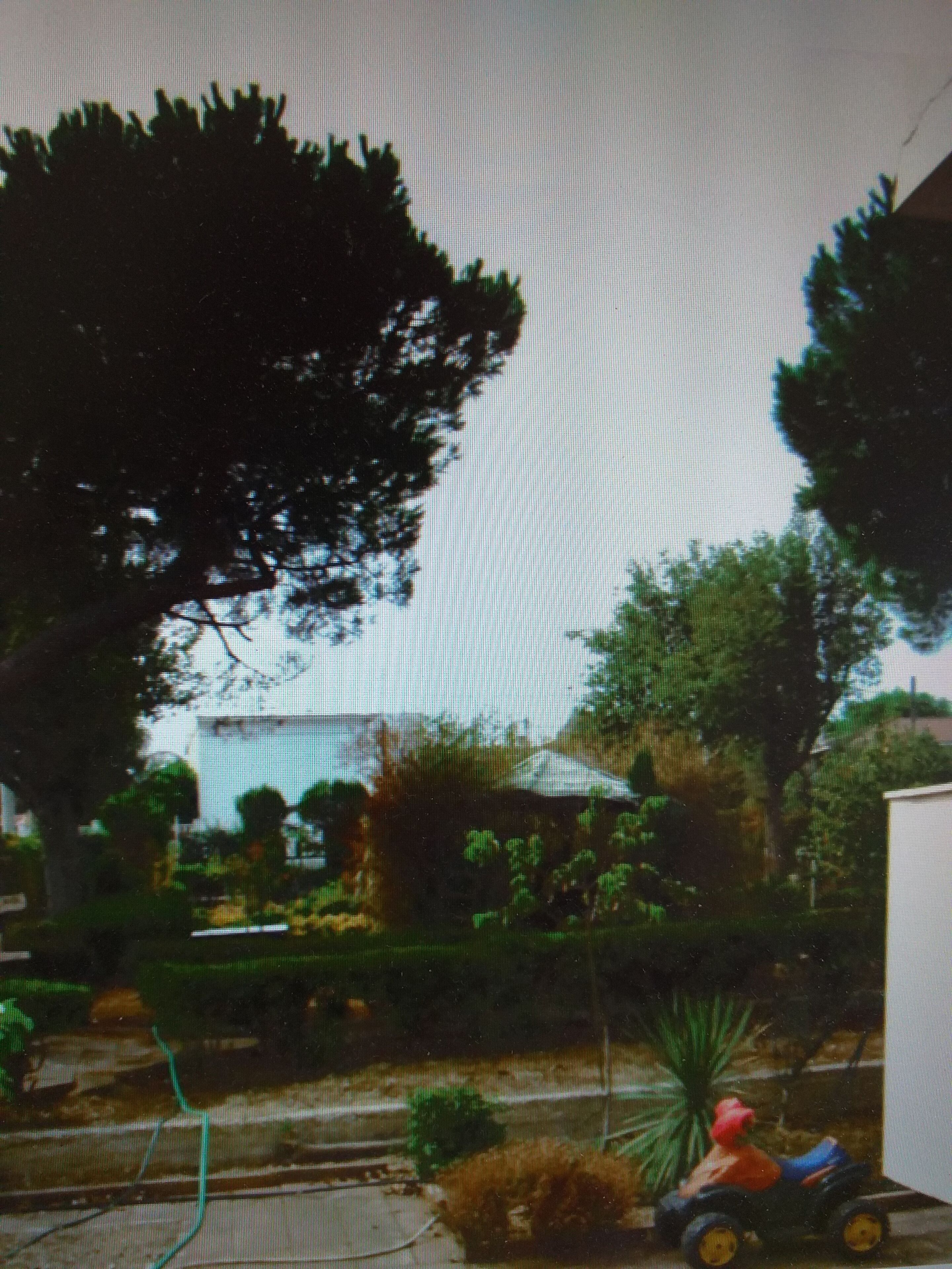 Foto - Villa Alma, Independent Apartment In Villa 700mt to The Sea