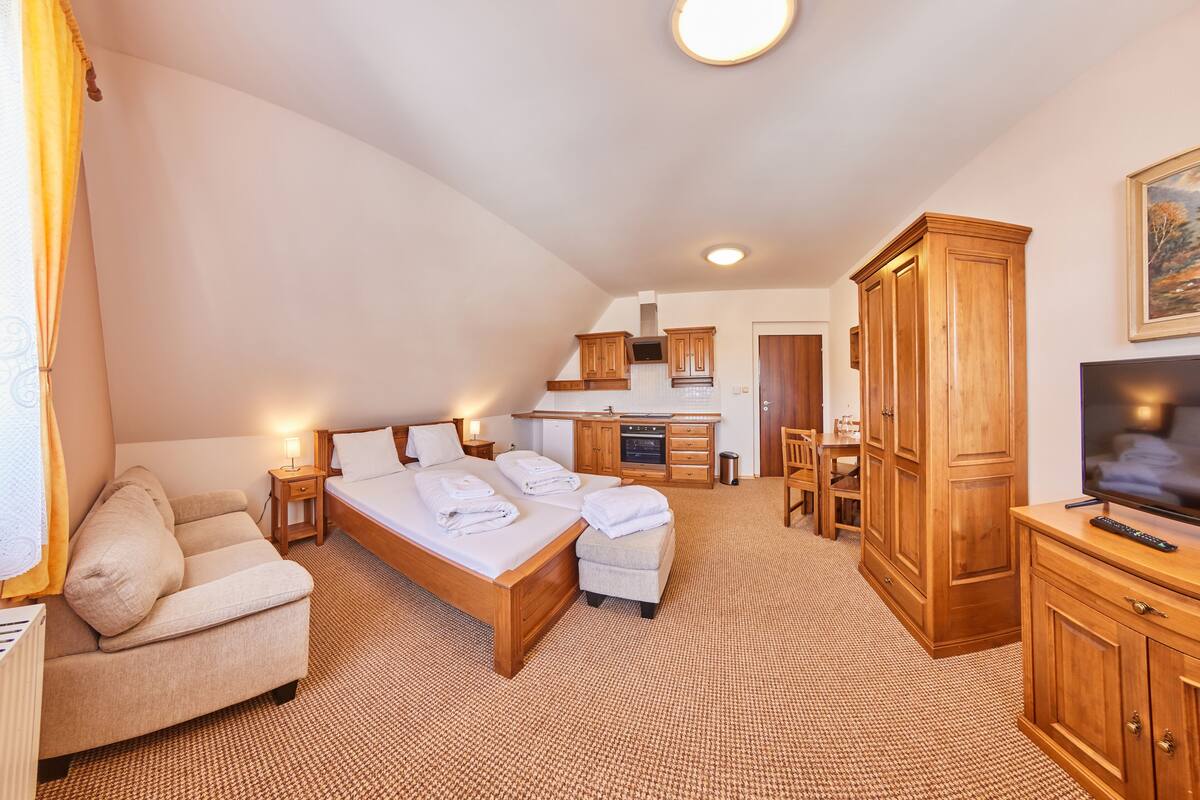 A bedroom with a bed, a sofa, a TV, wooden cabinets, and a kitchenette.
