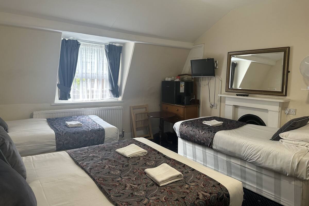 A hotel room with two single beds, a desk with a computer, a television, and a fireplace.