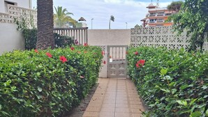 A pathway flanked by lush green hedges and red flowers leading to a gated entrance.
