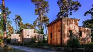 A rustic wooden cabin with a number 40 sign, surrounded by tall trees and a gravel path. - Naturcamping Brettmühlenteich e.G. (Thiendorf)