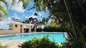 Une piscine entourée d’une végétation luxuriante et un bâtiment doté d’un toit blanc.