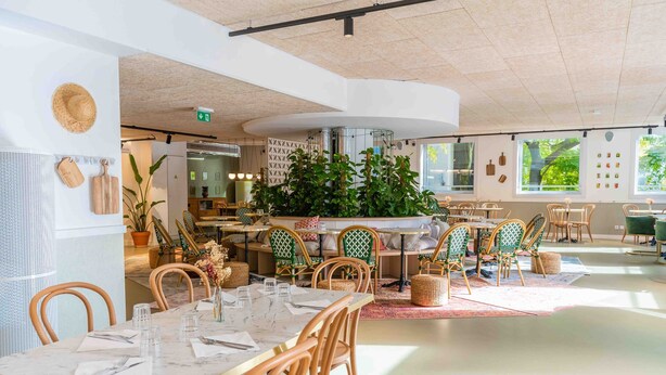 Un comedor moderno con sillas de madera, una mesa de mármol y plantas en macetas.