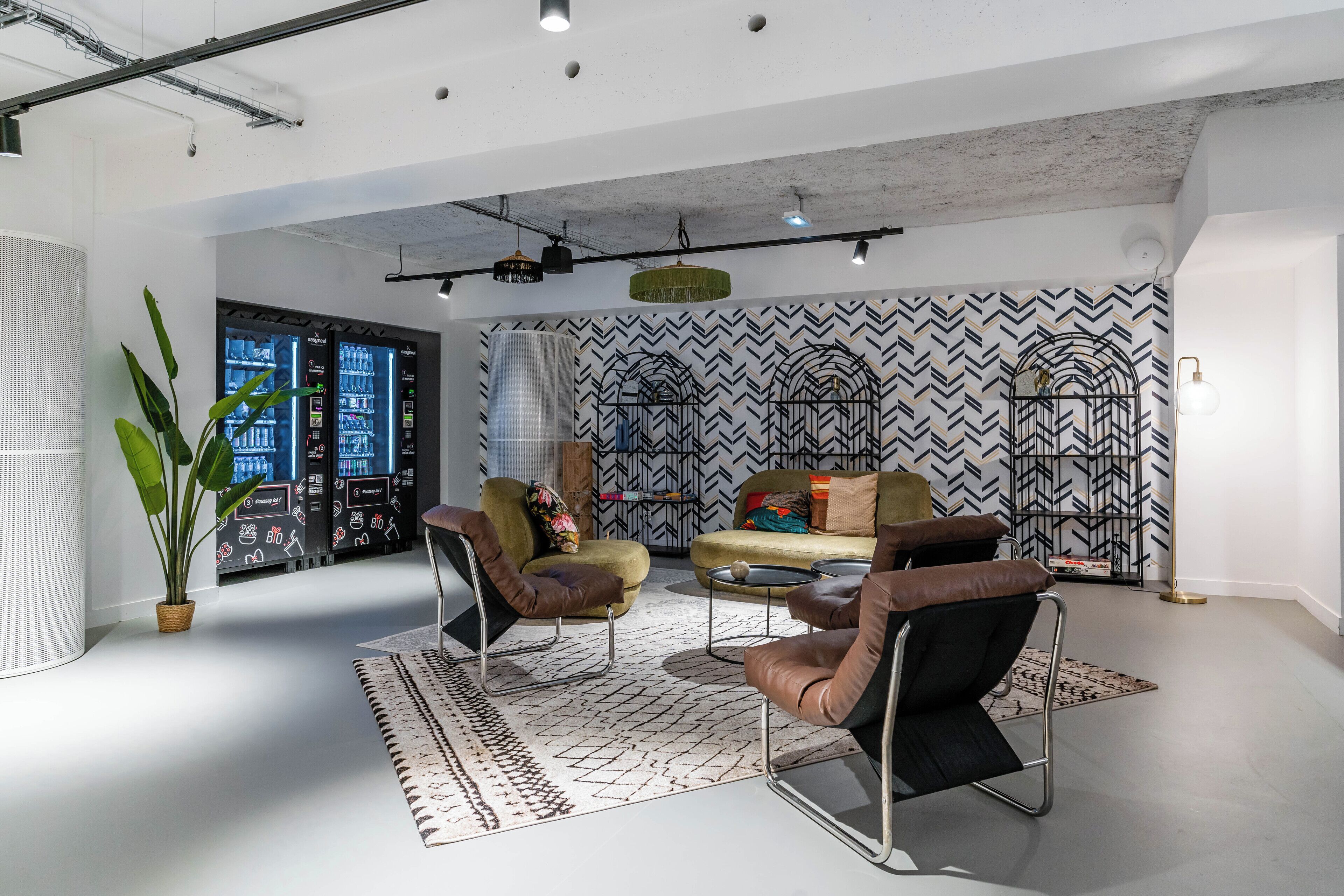 A modern living room with a sofa, chairs, and a coffee table. There is a large potted plant and a patterned rug.