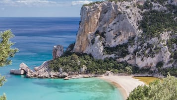 Apartment, Multiple Bedrooms, Balcony | Beach