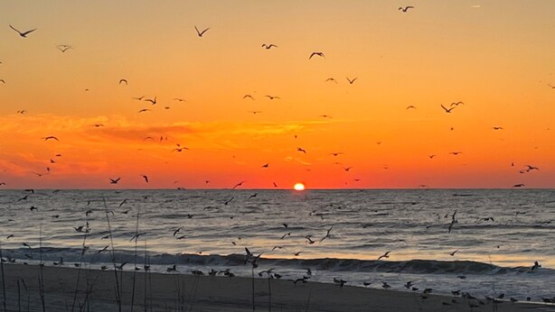 A sunset over the ocean with birds flying. - Book your Spring Golf Vacations. Summer Beach vacations are here too.  (Myrtle Beach)