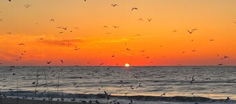 Book your Spring Golf Vacations. Summer Beach vacations are here too. 