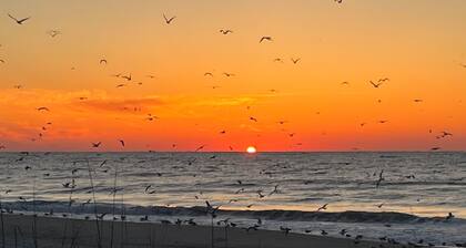 Book your Spring Golf Vacations. Summer Beach vacations are here too.