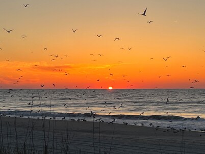 Book your Spring Golf Vacations. Summer Beach vacations are here too. 