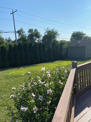 Property grounds - Spacious beach house with front and back yards, short walk to Scarborough beach  (Narragansett)