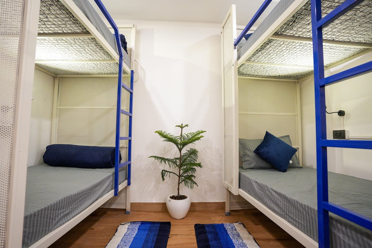 Superior Shared Dormitory