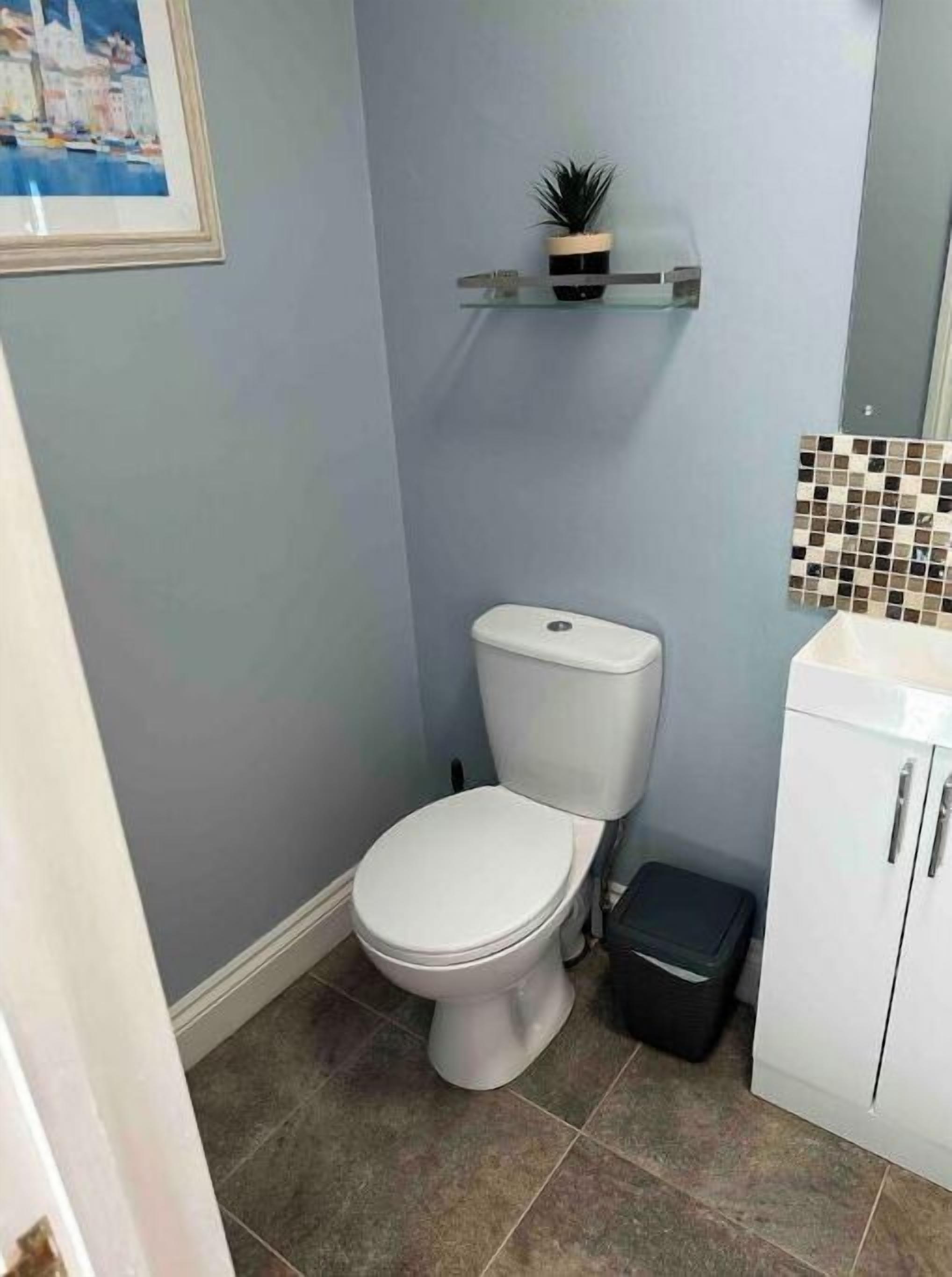 A small bathroom with a toilet, a trash bin, a shelf with a plant, and a tiled wall.