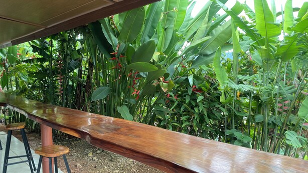 A long wooden bench under a shelter, surrounded by lush green plants and a tiled floor. - Sunrise  (Drake Bay)