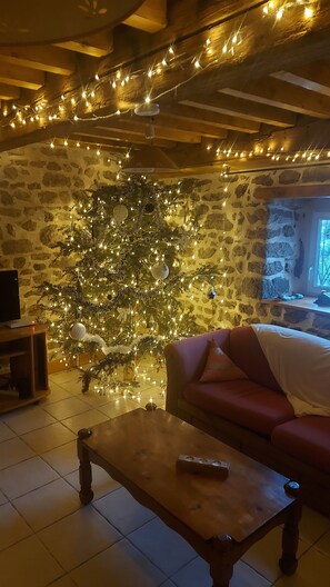 TV, DVD player, books, video library - Gîte de Montagne à 1000m au Cœur des Monts du Forez (Chalmazel-Jeansagnière)