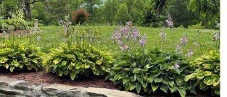 Overnattingsstedets uteområder