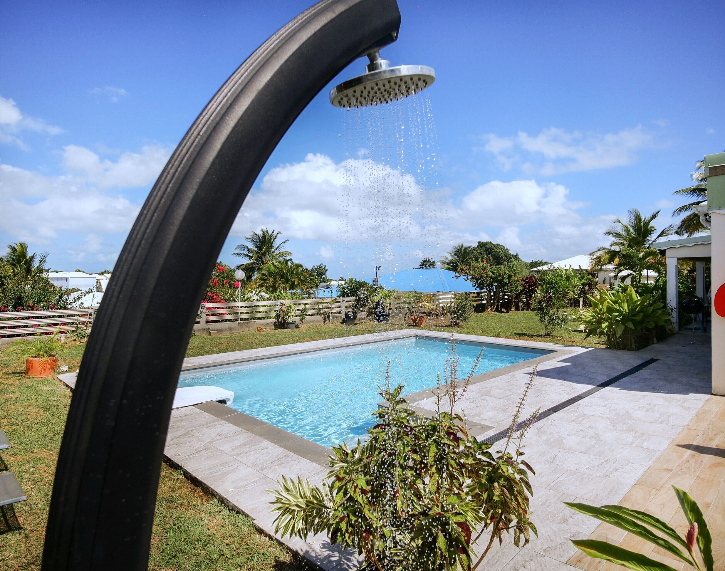 A swimming pool with a showerhead, surrounded by a garden with various plants and a clear blue sky.